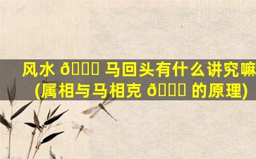 风水 🐎 马回头有什么讲究嘛(属相与马相克 🐝 的原理)